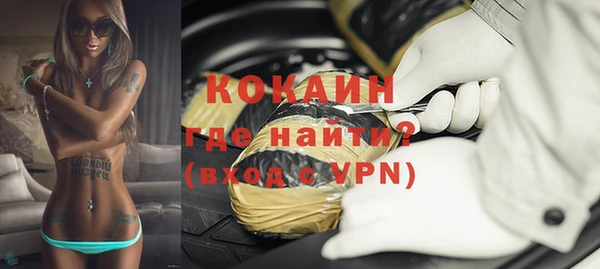 индика Каменск-Шахтинский