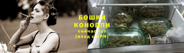 индика Каменск-Шахтинский