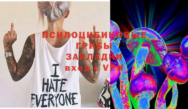 jwh Каменногорск