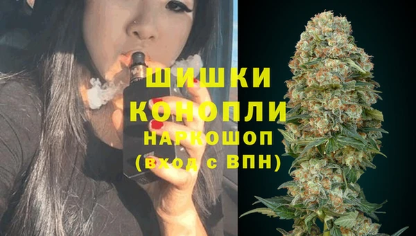 бошки Туринск