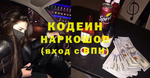 индика Каменск-Шахтинский