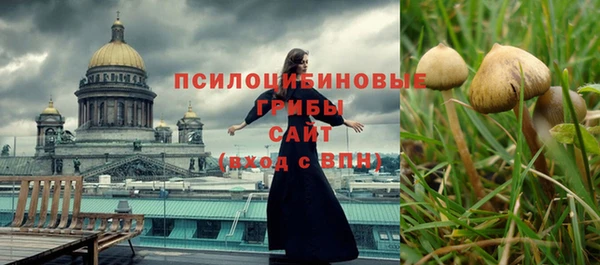 индика Каменск-Шахтинский